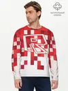 Мужской лонгслив базовый / Roblox (P007_P004ooo1698199, P004ooo1698199)
