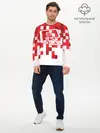 Мужской лонгслив базовый / Roblox (P007_P004ooo1698199, P004ooo1698199)