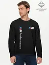 Мужской лонгслив базовый / BMW M PERFORMANCE (P007_P004ooo1700169, P004ooo1700169)