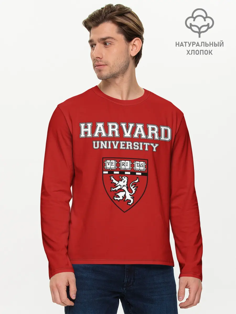 Мужской лонгслив базовый / HARVARD (P007_P004ooo1703853, P004ooo1703853)