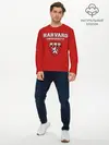 Мужской лонгслив базовый / HARVARD (P007_P004ooo1703853, P004ooo1703853)