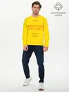 Мужской лонгслив базовый / Золотой Студент (P007_P004ooo1702459, P004ooo1702459)