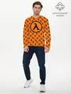Мужской лонгслив базовый / HALF-LIFE (P007_P004ooo1704255, P004ooo1704255)