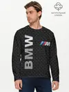 Мужской лонгслив базовый / BMW (P007_P004ooo1709423, P004ooo1709423)