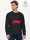 Мужской лонгслив базовый / Formula 1 Logo (P007_P004ooo1717657, P004ooo1717657)