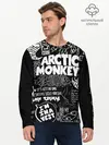 Мужской лонгслив базовый / Arctic Monkeys (P007_P004ooo1721473, P004ooo1721473)