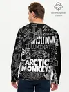 Мужской лонгслив базовый / Arctic Monkeys (P007_P004ooo1721473, P004ooo1721473)
