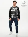 Мужской лонгслив базовый / Arctic Monkeys (P007_P004ooo1721473, P004ooo1721473)