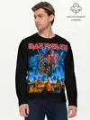 Мужской лонгслив базовый / Iron Maiden (P007_P004ooo1732091, P004ooo1732091)