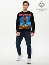 Мужской лонгслив базовый / Iron Maiden (P007_P004ooo1732091, P004ooo1732091)