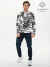 Мужской лонгслив базовый / Дота 2 (P007_P004ooo1740509, P004ooo1740509)