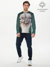 Мужской лонгслив базовый / Подозрительный страус (P007_P004ooo1745667, P004ooo1745667)