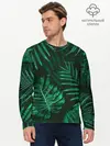 Мужской лонгслив базовый / Джунгли (P007_P004ooo1745879, P004ooo1745879)