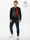 Мужской лонгслив базовый / American Patriot (P007_P004ooo1747233, P004ooo1747233)