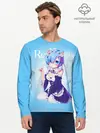 Мужской лонгслив базовый / Re:Zero. Рем (P007_P004ooo1747249, P004ooo1747249)