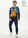 Мужской лонгслив базовый / Detective Pikachu (P007_P004ooo1747667, P004ooo1747667)