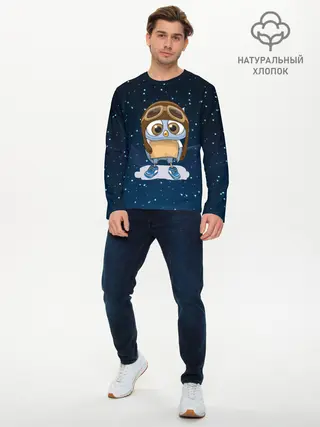 Мужской лонгслив базовый / Совенок летчик (P007_P004ooo1751177, P004ooo1751177)
