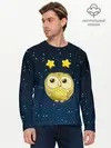 Мужской лонгслив базовый / Сова со звездочками (P007_P004ooo1752835, P004ooo1752835)