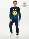 Мужской лонгслив базовый / Сова со звездочками (P007_P004ooo1752835, P004ooo1752835)