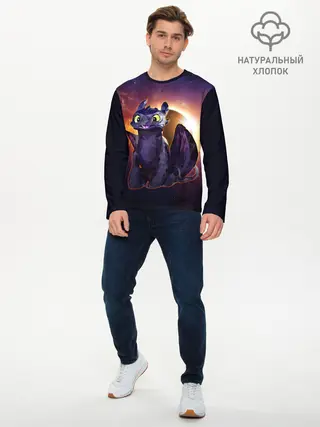 Мужской лонгслив базовый / ночная фурия