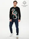 Мужской лонгслив базовый / Дракон Хаку на черном фоне (P007_P004ooo1757595, P004ooo1757595)