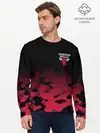 Мужской лонгслив базовый / CHICAGO BULLS (P007_P004ooo1758493, P004ooo1758493)