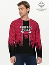 Мужской лонгслив базовый / CHICAGO BULLS (P007_P004ooo1758535, P004ooo1758535)