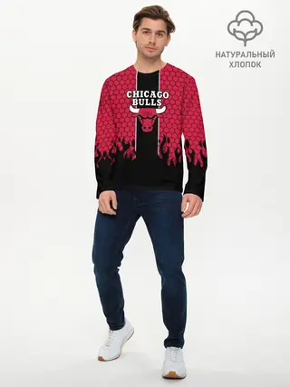 Мужской лонгслив базовый / CHICAGO BULLS
