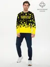 Мужской лонгслив базовый / NIRVANA (P007_P004ooo1760101, P004ooo1760101)