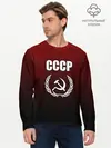 Мужской лонгслив базовый / СССР (P007_P004ooo1760267, P004ooo1760267)