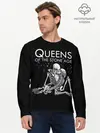 Мужской лонгслив базовый / Queens of the Stone Age (P007_P004ooo1764355, P004ooo1764355)