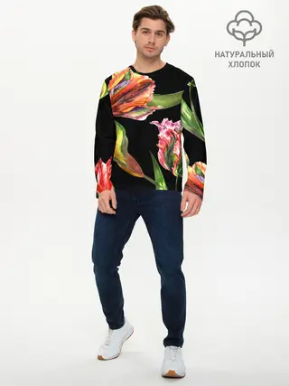 Мужской лонгслив базовый / Тюльпан (P007_P004ooo1772303, P004ooo1772303)