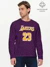 Мужской лонгслив базовый / Lebron James (P007_P004ooo1778323, P004ooo1778323)