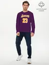Мужской лонгслив базовый / Lebron James (P007_P004ooo1778323, P004ooo1778323)
