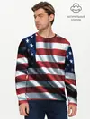 Мужской лонгслив базовый / Символика Америки (P007_P004ooo1781723, P004ooo1781723)