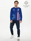 Мужской лонгслив базовый / Сборная Исландии (P007_P004ooo1785695, P004ooo1785695)