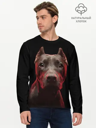 Мужской лонгслив базовый / Стафф