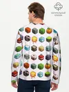 Мужской лонгслив базовый / Minecraft (P007_P004ooo1798181, P004ooo1798181)