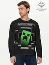 Мужской лонгслив базовый / Minecraft (P007_P004ooo1798397, P004ooo1798397)