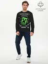 Мужской лонгслив базовый / Minecraft (P007_P004ooo1798397, P004ooo1798397)
