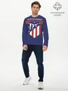 Мужской лонгслив базовый / Atletico de Madrid (P007_P004ooo1797465, P004ooo1797465)