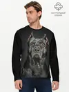 Мужской лонгслив базовый / Питбуль (P007_P004ooo1804921, P004ooo1804921)
