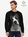 Мужской лонгслив базовый / Американский питбуль (P007_P004ooo1805031, P004ooo1805031)