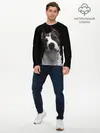 Мужской лонгслив базовый / Американский питбуль (P007_P004ooo1805031, P004ooo1805031)