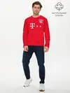 Мужской лонгслив базовый / Lewandowski home 19-20 (P007_P004ooo1804089, P004ooo1804089)
