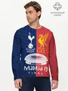 Мужской лонгслив базовый / Champions Final (P007_P004ooo1804497, P004ooo1804497)