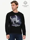 Мужской лонгслив базовый / Hollow Knight 19 (P007_P004ooo1808525, P004ooo1808525)