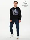 Мужской лонгслив базовый / Hollow Knight 19 (P007_P004ooo1808525, P004ooo1808525)
