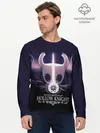 Мужской лонгслив базовый / Hollow Knight (P007_P004ooo1808795, P004ooo1808795)