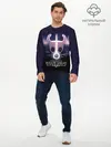 Мужской лонгслив базовый / Hollow Knight (P007_P004ooo1808795, P004ooo1808795)